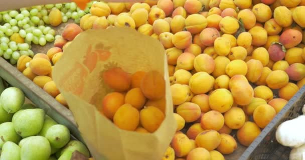 Woman choosing ripe apricots on the market — Stock Video