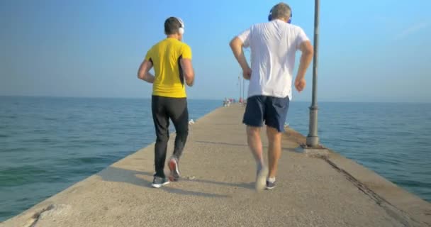 Entraînement extérieur avec faire de l'exercice à l'envers — Video