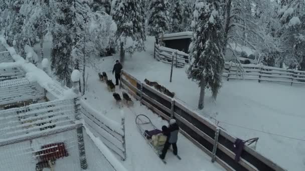 骑在狗雪橇在冬季树林里，鸟瞰图 — 图库视频影像