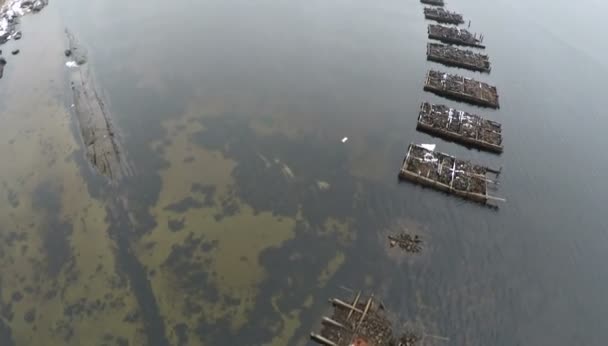 Létání nad zříceninou mostu v moři — Stock video