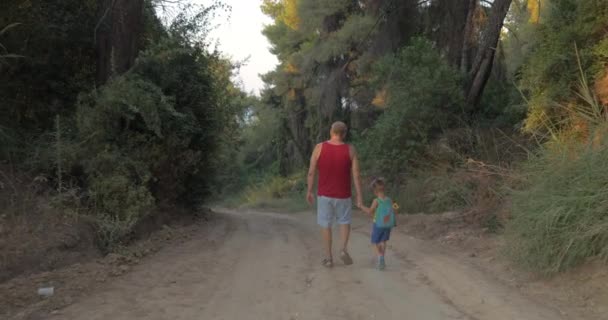 Grandpa and grandson having evening walk in woods — Stock Video