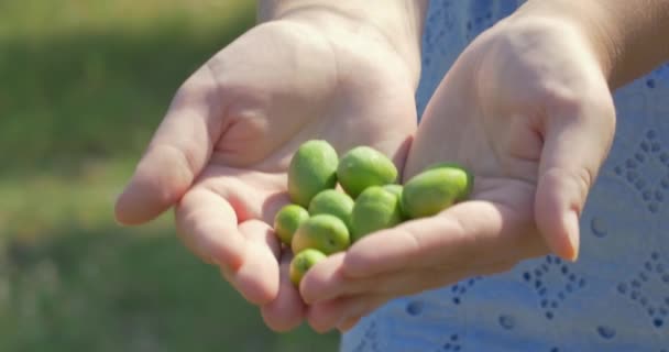 Manos femeninas con aceitunas verdes — Vídeo de stock