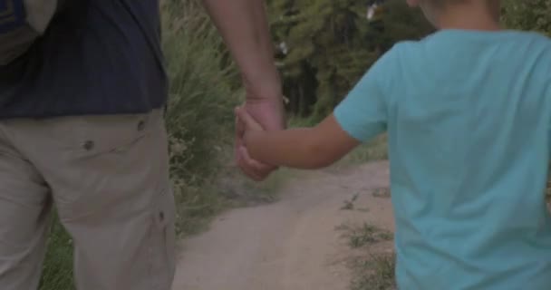 Hiking de niños y abuelos en el bosque — Vídeos de Stock