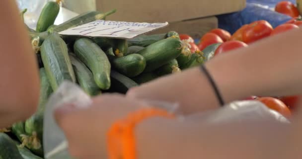 Frau kauft Gurken auf dem Markt — Stockvideo