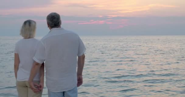 Amar a la pareja mayor disfrutando del paisaje marino nocturno — Vídeos de Stock