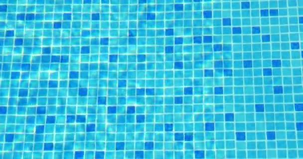 Small Blue Tiles on the Swimming Pool Floor — Stock Video