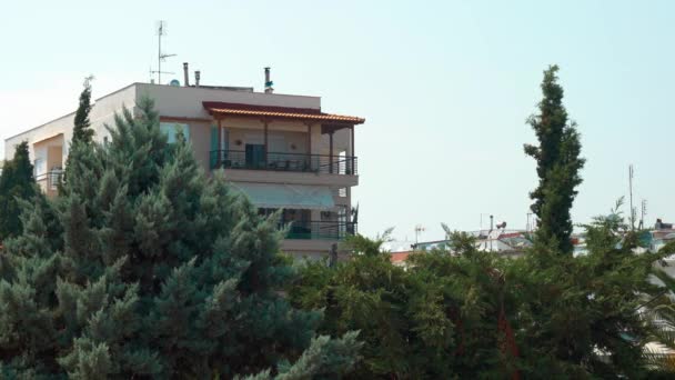 View on building with trees on foreground — Stock Video