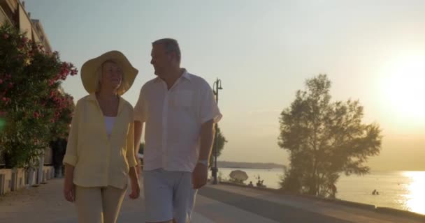 해질녘 바다 앞에 걷고 수석 부부 — 비디오