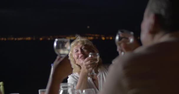 Folk spottar glas vin medan du sitter vid bordet — Stockvideo