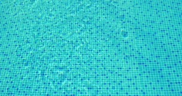 Clear water in blue tiled pool — Stock Video