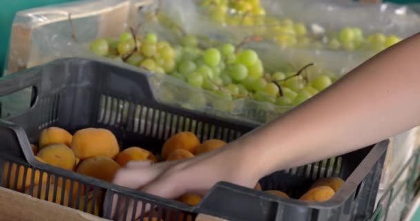 Mujer tomando albaricoques de la caja en el supermercado — Vídeos de Stock