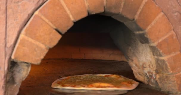 Peynirli pizza fırında pişirme — Stok video