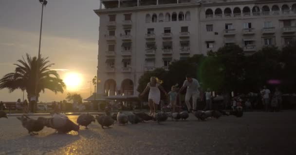 Familjen löper genom flocken av duvor — Stockvideo