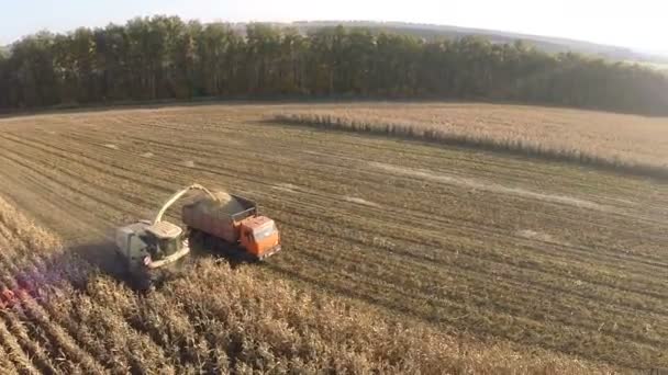 Vôo sobre colheitas da ceifeira e do caminhão — Vídeo de Stock