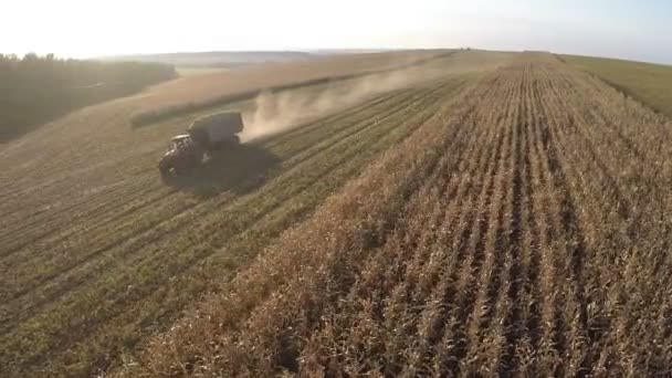 Погрузка с сельскохозяйственными тракторами движения по полю, вид с воздуха — стоковое видео