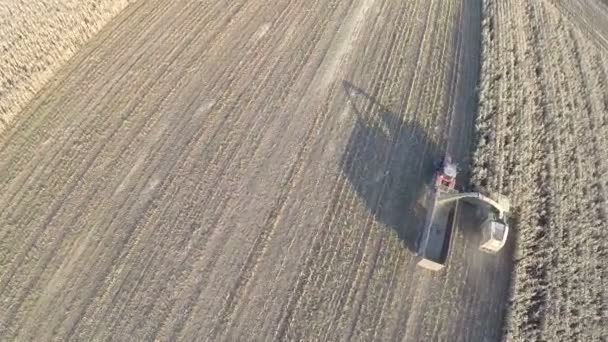 Volare sopra la raccolta di raccolti su terreni agricoli — Video Stock