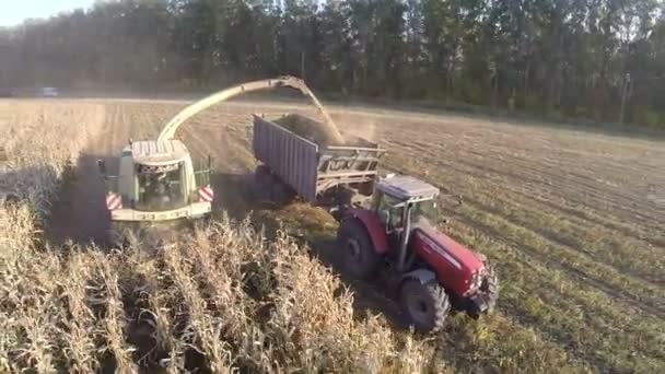 Antenn skott av farmwork på samla grödor — Stockvideo