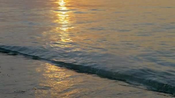 Arrivée des vagues de mer au coucher du soleil — Video