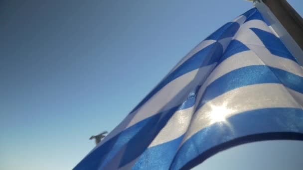 Bandiera nazionale della Grecia — Video Stock