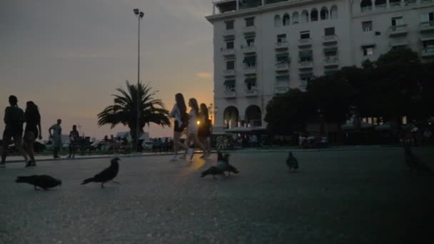 Duiven op het plein van de stad bij zonsondergang — Stockvideo