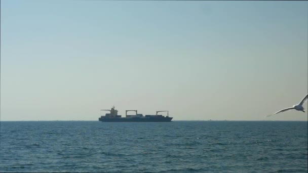 在海上的货船 — 图库视频影像