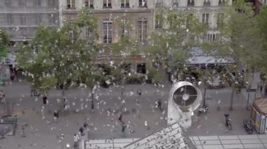 Paris Centre Pompidou tarafından uçan şehir güvercinleri