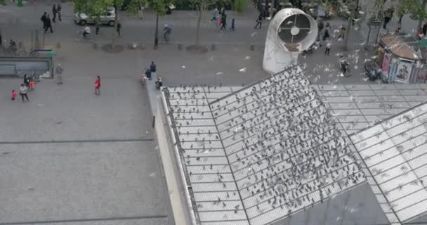 Pigeons on the square in front of Pompidou Centre — Stock Video