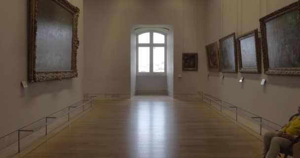 Visita alla galleria d'arte — Video Stock