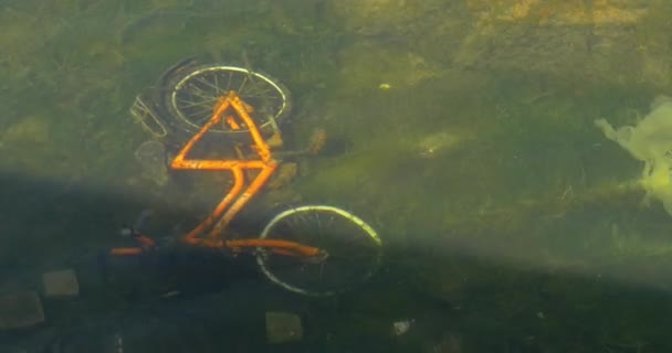 Bicicletta sul fondo dello stagno sporco — Video Stock