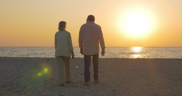 Casal sênior abraçando pelo mar ao pôr do sol — Vídeo de Stock