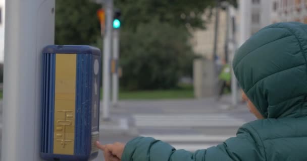 Madre e attraversando la strada a semaforo verde — Video Stock