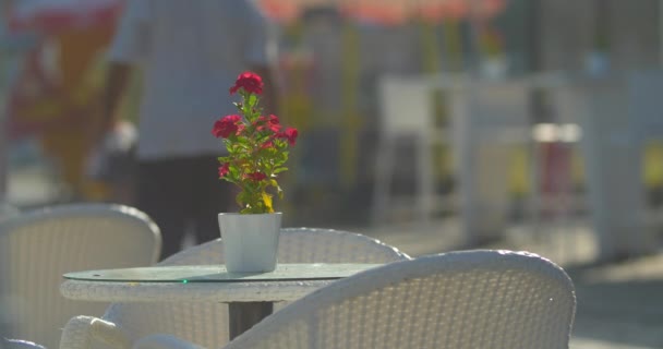 Tavolo vuoto con fiore nel caffè di strada — Video Stock