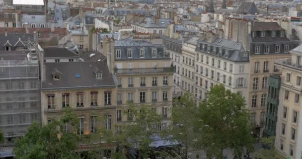 Paris'te uçan güvercinler sürüsü — Stok video