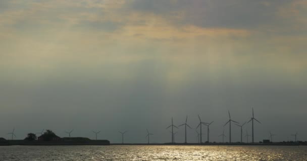 Windmühlen am Ufer des Flusses bei Sonnenuntergang — Stockvideo