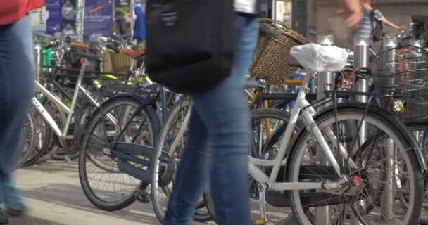 Lots of bicycles parked in the street — Stock Video