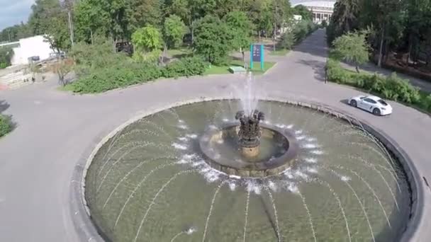 Auto fährt um den Brunnen, Luftaufnahme — Stockvideo