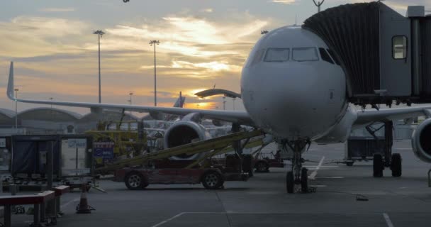 Visto un gran avión de pasajeros en el aeropuerto en el que cargan bolsas y equipaje — Vídeos de Stock