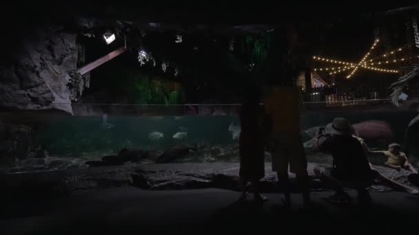 Visto un grande acquario con pesci tropicali — Video Stock