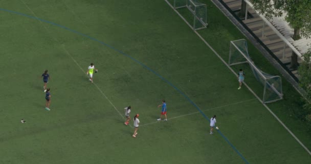 Niños y niñas juegan al fútbol en un campo verde y anotan un gol en las puertas — Vídeo de stock