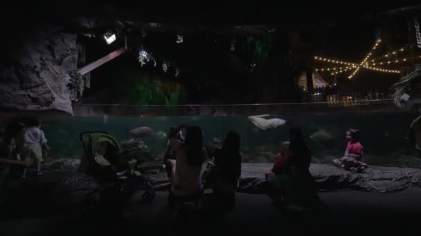 Ενήλικες και παιδιά σε oceanarium — Αρχείο Βίντεο