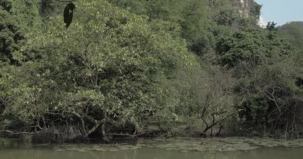 Hanoi, Vietnam doğal peyzaj — Stok video