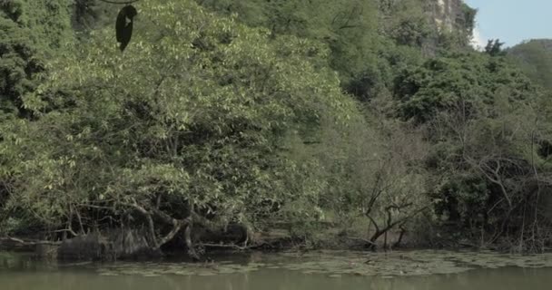 In het schilderachtige landschap van Hanoi, Vietnam — Stockvideo