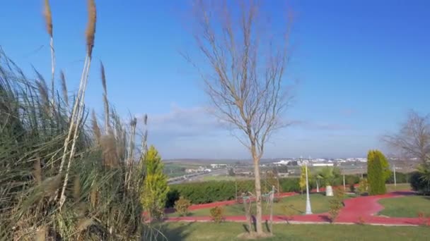 En Nea Kallikratia, Grecia visto pintoresco paisaje urbano árboles y arbustos, influir en un fuerte viento — Vídeos de Stock