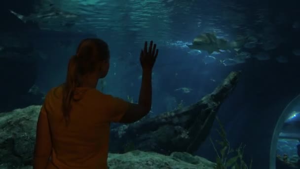 Женщина смотрит на акулу в большом аквариуме. Siam Ocean World, Бангкок, Таиланд — стоковое видео
