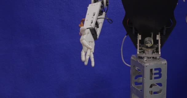 W Moskwie na wystawie Robotix expo robota z ramienia uścisk dłoni z dziewczyna — Wideo stockowe