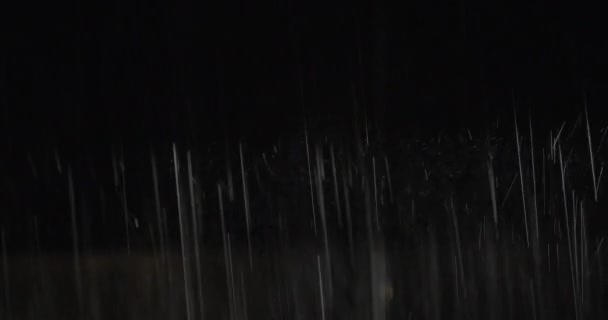 Pouring rain in the light of car headlamps — Stock Video