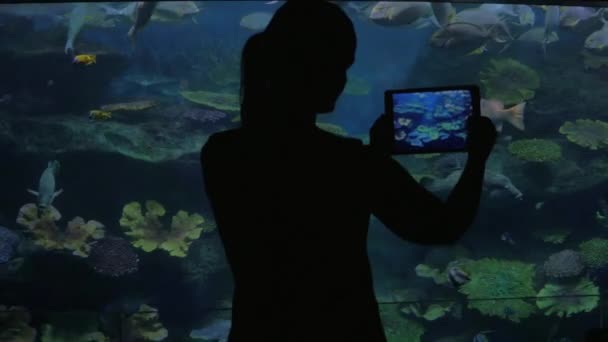 Oceanarium visitor taking photos with tablet PC — Stock Video