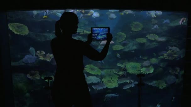 Young woman at the oceanarium take pictures of fish — Stock Video