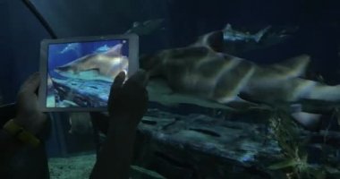Tarafından tablet büyük akvaryumda köpekbalığı fotoğrafını çekmek. Siam okyanus dünya, Bangkok, Tayland
