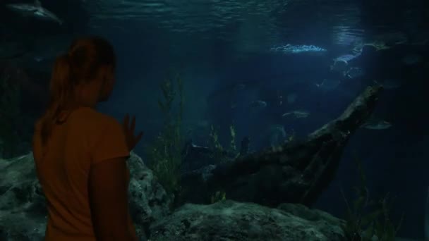 Frau betrachtet Fische im Ozeanarium — Stockvideo